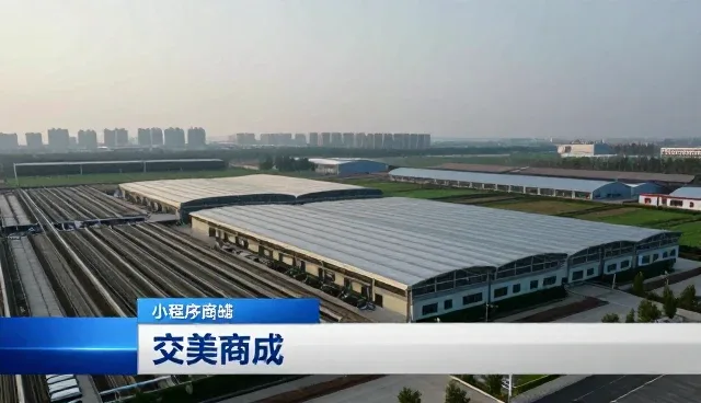 域名配置在小程序商城与公众号开发中的关键作用